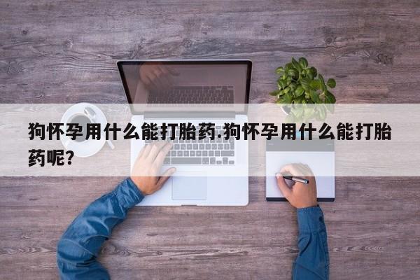 网上微信米非司酮片在线购狗怀孕用什么能打胎药.狗怀孕用什么能打胎药呢？