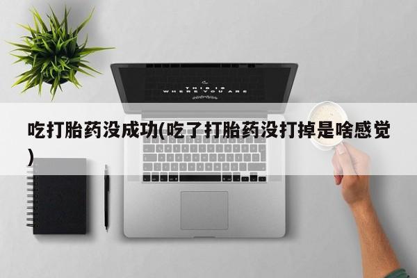 网上微信米非司酮片在线购吃打胎药没成功(吃了打胎药没打掉是啥感觉)