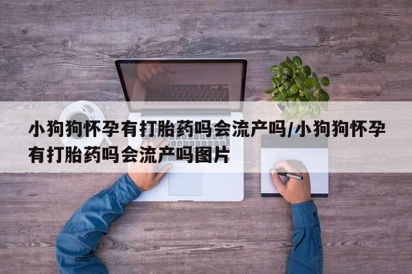 网上微信米非司酮片在线购小狗狗怀孕有打胎药吗会流产吗/小狗狗怀孕有打胎药吗会流产吗图片