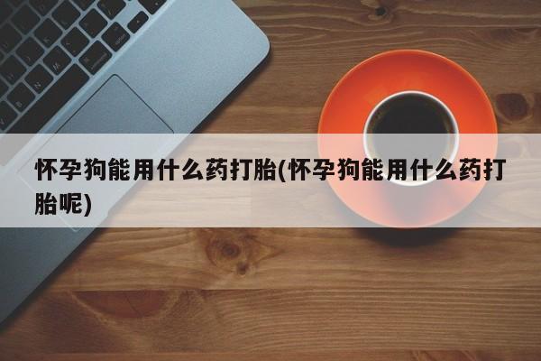 网上微信米非司酮片在线购怀孕狗能用什么药打胎(怀孕狗能用什么药打胎呢)