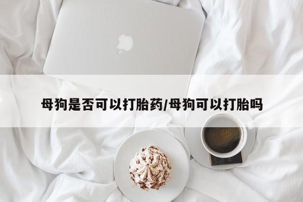 网上微信米非司酮片在线购母狗是否可以打胎药/母狗可以打胎吗